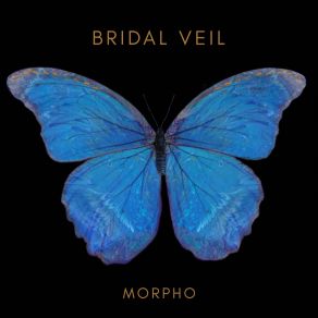 Download track Morpho Bridal Veil