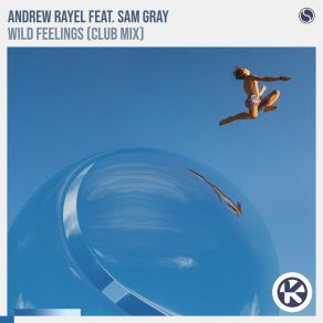 Download track Wild Feelings Sam Gray