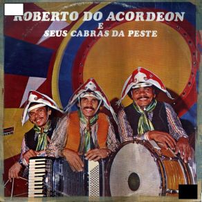 Download track Fim De Festa Roberto Do Acordeon