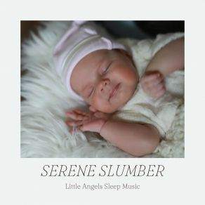 Download track Sleep Music For Babys Sleep Music