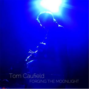 Download track This Quiet Dust Tom Caufield