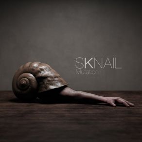 Download track A Storm Sknail