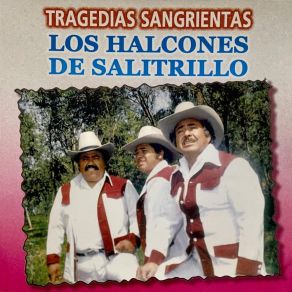 Download track Vivito Y Coleando Los Halcones De Salitrillo