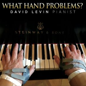 Download track Wunderbar David Levin