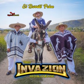 Download track El Contador Trío Invazion Hidalguense