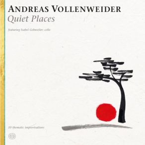 Download track Fields Of Blue Andreas Vollenweider