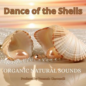 Download track Shell Symphony Organic Natural Sounds