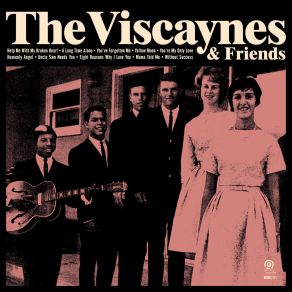 Download track Eight Reasons Why Viscaynes