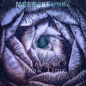 Download track Wellengang Meeresfunk