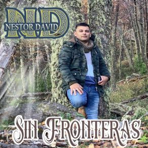 Download track Voy A Amarte Nestor David