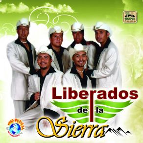 Download track Amor Regresa Liberados De La Sierra