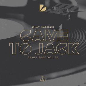 Download track Samplitude Vol. 16 - Came To Jack (Extended Mix) Olav Basoski