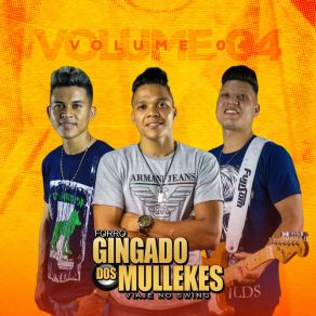 Download track A Casa É Nossa Forró Gingado Dos Mullekes