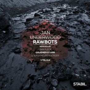 Download track Rawbots (Jan Fleck Remix) Jan Underwood