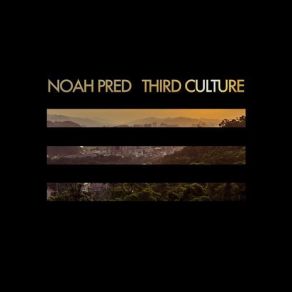 Download track All Alone Noah PredRosina