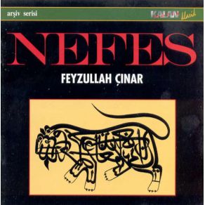 Download track Gezdim Şu Alemi Feyzullah Çınar