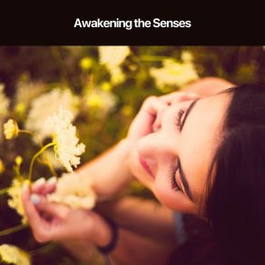 Download track Awakening The Senses The Spa Collection