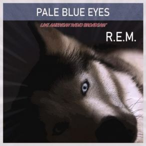 Download track Pale Blue Eyes (Live) R. E. M.