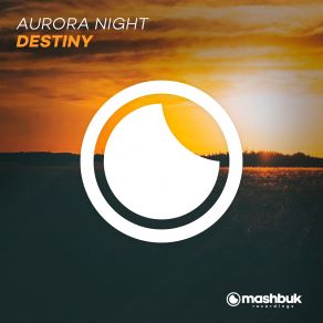 Download track Destiny (Original Mix) Aurora Night