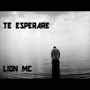 Download track Te Esperare Mc Lion