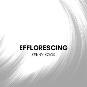 Download track Efflorescing Kenny Kook