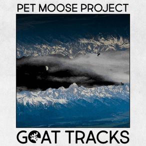 Download track Gotta Get Back Pet Moose Project