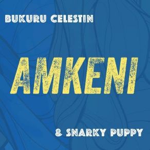 Download track Amkeni' Snarky Puppy, Bukuru Celestin