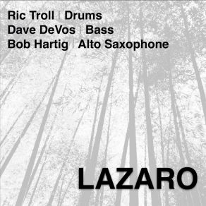 Download track Lazaro Ric TrollDave DeVos, Bob Hartig