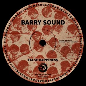 Download track Downtown In The Night (Original Mix) Barry Sound