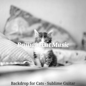 Download track Sublime Backdrops For Cats Brilliant Cat Music