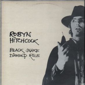 Download track I Watch The Cars No. 2 Robyn Hitchcock