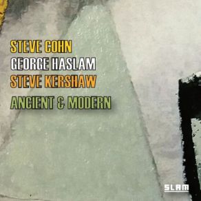 Download track Tarogato Fire Steve Cohn