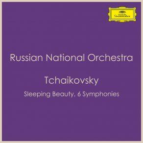 Download track Andante Sostenuto - Moderato Con Anima - Moderato Assai, Quasi Andante - Allegro Vivo Russian National Orchestra