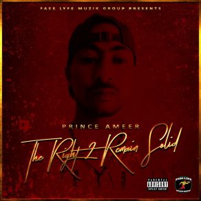 Download track All My Niggaz (R. I. P.) Prince AmeerThe R. I. P