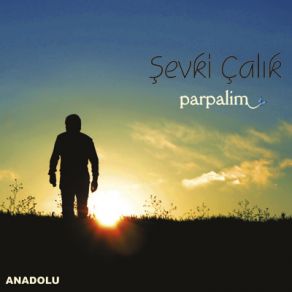 Download track Ne Oldu Bize Şevki Çalık