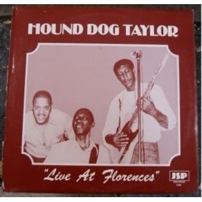 Download track Rock Me Hound Dog Taylor