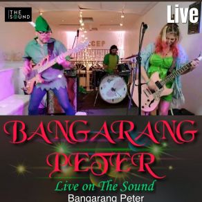 Download track I'll Be Ok (Live) Bangarang Peter