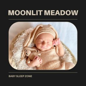 Download track Gentle Whisper Baby Sleep Zone