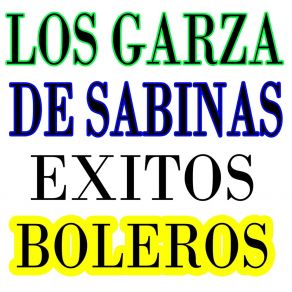 Download track Cuando Llegaste Los Garza De Sabinas