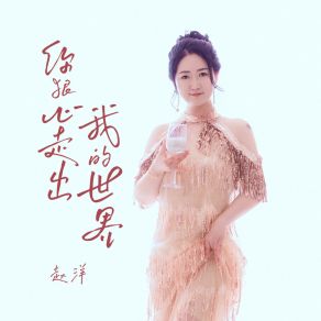 Download track 你狠心走出我的世界 (DJ阿哲版伴奏) 赵洋