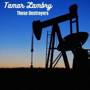 Download track The Connectedness Entrap Tamar Lambry