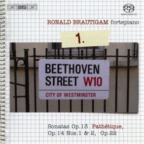 Download track Sonata No. 7 In D Major, Op. 10 No. 3 I. Presto Ludwig Van Beethoven