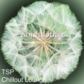 Download track Feeling Peace TSP Chillout Lounge