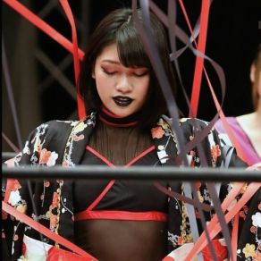 Download track Dedicated To Hana Kimura Slit Throats