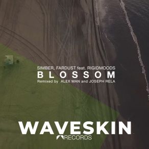 Download track Blossom (Alex Man Remix) RigidmoodsAlex Man