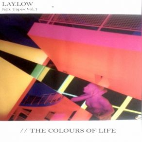 Download track The Colours Of Life (Original Mix) LAY. LOW