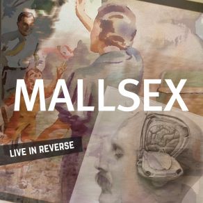 Download track Soft Evils Mallsex