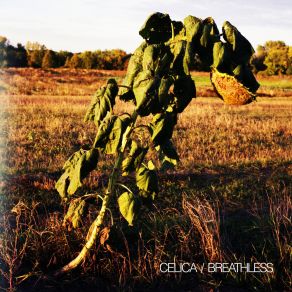 Download track Breathless Celica