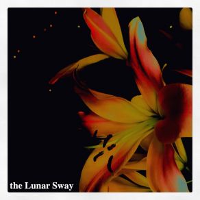 Download track The Lunar Sway The Lunar Sway