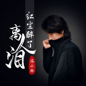 Download track 红尘醉了离人泪 冯小伦